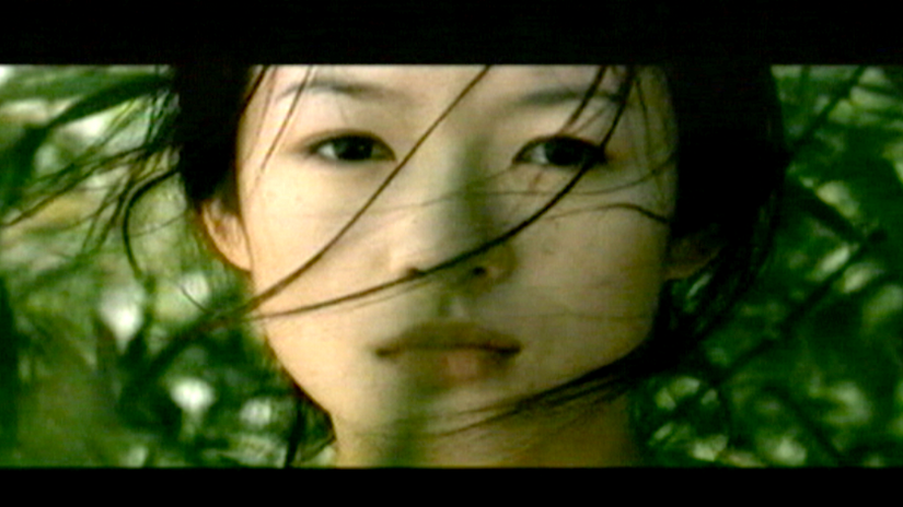 Ang Lee Tribute